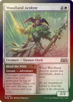 1x Woodland Acolyte // Mend the Wilds - Foil - Wilds Of Eldraine - Near Mint, En - Image 1