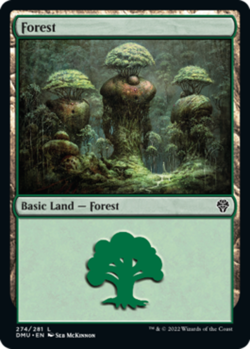 1x Forest (274) - Foil - Dominaria United - Near Mint, English - MTG! - Image 1