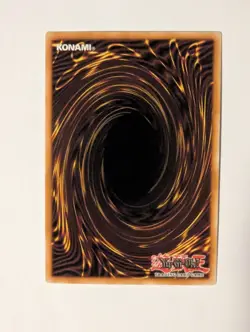 Dracotail Phryxul - DOOD-EN023 - Secret Rare - Chase Card - 1st Edition - NM - Image 3