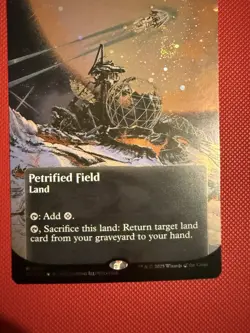 Petrified Field (0167) (Borderless) (Galaxy Foil) - Edge of Eternities: Stellar - Image 1