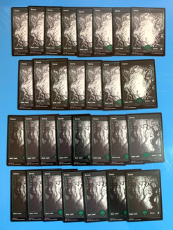 Innistrad Midnight Hunt full art non foil FOREST x30 mtg I Combine Ship see pics - Image 1