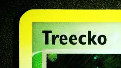Treecko (16 Holofoil) 016 Black Star Promo Pokemon Nintendo Promo 2004 NM/LP - Image 4