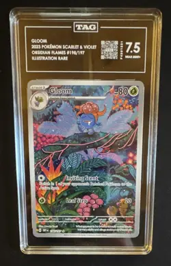 Pokemon Gloom SV03 Obsidian Flames 198/197 80 HP Illustration Rare Holo TAG 7.5 - Image 1