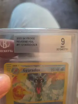 2003 Pokemon Skyridge Gyarados Reverse Holo Beckett 9 Mint 11/144 - Image 3