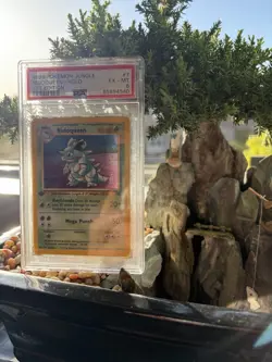 1999 Pokemon Jungle Nidoqueen Holo 1st Edition #07/64 Graded PSA 6 - Image 1