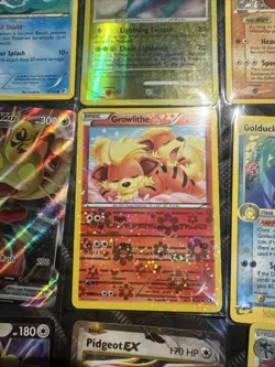 Growlithe Legendary Treasures Radiant Collection-Vintage Sandstorm Pokemon TCG - Image 2