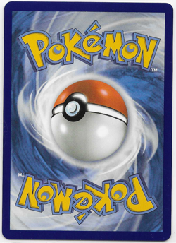 Pokemon Ascended Heroes N’s Zoroark ex 286/217 Special Illustration Rare Mint - Image 2