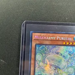 Yugioh Mulcharmy Purulia INFO-EN027 1st Edition Secret Rare NM - Image 5