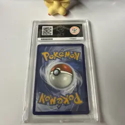 Pokemon TCG Charizard v SWSH050 Black Star Promo Ace 10 Card F**k Ace - Image 3