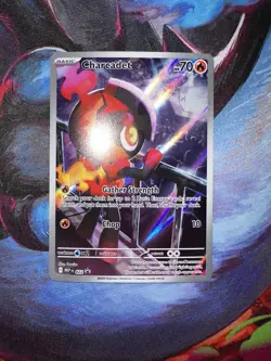 Charcadet #22 Black Star Promo Holo Pokemon Phantasmal Flames NM - Image 1