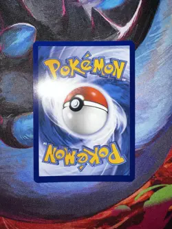 Charcadet #22 Black Star Promo Holo Pokemon Phantasmal Flames NM - Image 2