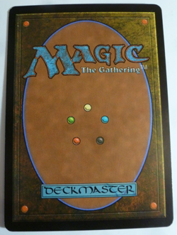 Magic The Gathering Helm Of Kaldra Fifth Dawn #131 LP/NM inv3 - Image 2