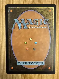 Newfound Adventure - Showcase - Final Fantasy - FCA U 0045 - Image 2