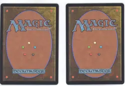 MTG Ms. Bumbleflower M Bloomburrow Commander #3 [1 Card Per Purchase] - Image 2