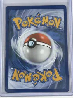 Pelipper SVP022 Prerelease Promo Pokemon Scarlet & Violet Paldea Evolved Holo NM - Image 2