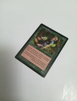 Mtg Visions Quirion Ranger magic the gathering - Image 2