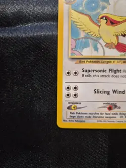 Pokemon Pidgeot 02/18 Southern Islands Regular - Image 3