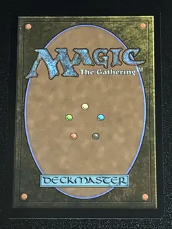 MTG Secrets of Strixhaven Petrified Hamlet 0259 NM Rare - Image 2