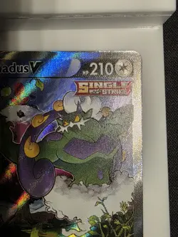 Tornadus V SWSH06 Chilling Reign 185/198 Full Alt Art Holo Ultra Rare 210 HP - Image 4