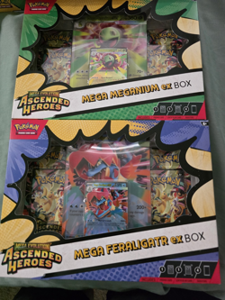 2 Pack - Pokemon Ascended Heroes Mega Feraligatr & Mega Meganium ex Box Sealed - Image 1