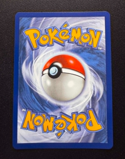 🌈 Turtwig #040 - Pokemon First Partner Black Star Promo - Pokemon TCG - NM/MT - Image 2