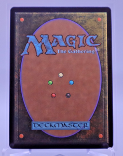 Paradise Chocobo - Birds of Paradise (Borderless) MtG Final Fantasy Foil K313 - Image 2