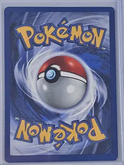 2000 Chikorita #53 Neo Genesis Regular Pokemon Card Common 1st Edition - LP - Image 2