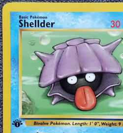 1st Edition Shellder - Fossil - #54/62 - Vintage Pokemon Card 1999 WOTC - Image 2