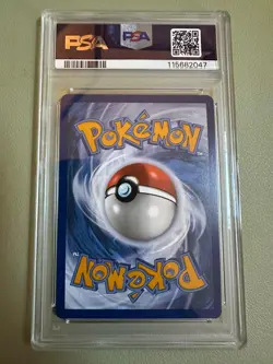 Cramorant 176/167 Twilight Masquerade Illustration Rare Holo PSA 10 Pokemon - Image 2