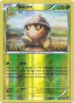 Seedot 9/114 Common Reverse Holo XY - Steam Siege Pokemon Card - Image 1