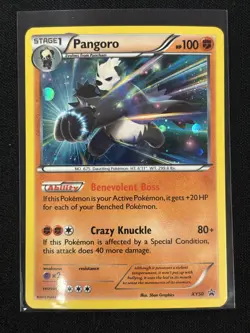 Pangoro XY50 Holo XY Promos Pokemon Card - Image 1
