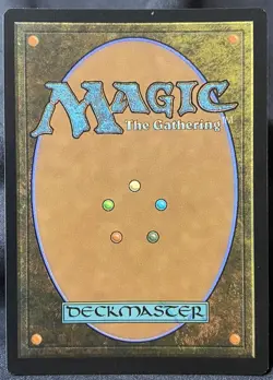 Sword of Hearth and Home 136 MTG Pizza Box PROMO BorderLess FOIL TMNT Commander - Image 2