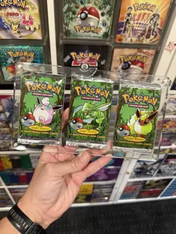 Pokemon TCG - WOTC Jungle 1st Edition Art Set In Acrylic (Empty) All 3 Artworks - Image 1