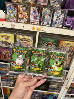 Pokemon TCG - WOTC Jungle 1st Edition Art Set In Acrylic (Empty) All 3 Artworks - Image 2