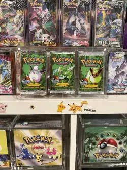 Pokemon TCG - WOTC Jungle 1st Edition Art Set In Acrylic (Empty) All 3 Artworks - Image 4