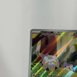 Togedemaru 104/094 Illustration Rare - Pokemon Phantasmal Flames NM IN HAND - Image 2