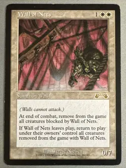 MTG / Wall of Nets / EXO / #24 / Rare / LP - Image 1