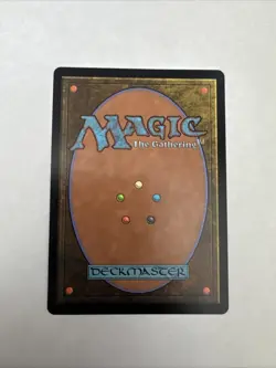 Verdant Catacombs - MH2 260/303 - Regular Near Mint - Image 2