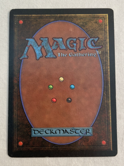 1x Hammerheim Legends MTG Magic the Gathering LP - Image 2