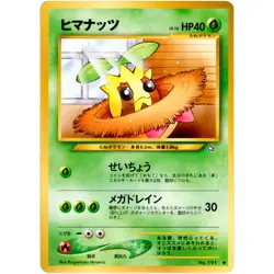 Sunkern No.191 Neo Genesis Old Back 2000 Pokemon Card Japanese - Image 3