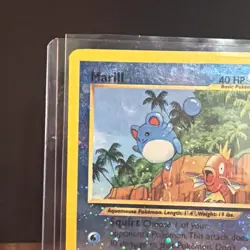 💦 SWIRL Pokemon Marill 11/18 Southern Islands Reverse Holo Promo English - Image 3