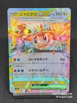 Tatsugiri ex 081/106 SV8 Surging Sparks Super Electric Breaker Japanese Pokemon - Image 1