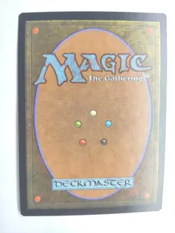 Whetstone NM Urza's Saga Chinese Rare 1998 316/350 MTG FBB - Image 2