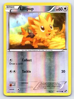 Lillipup 81/114 Common Black & White Pokemon Reverse Holo Lightly Played - Image 1