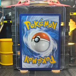 Absol Shrouded Fable Pokemon TCG 030/064 Scarlet & Violet Common - Image 5