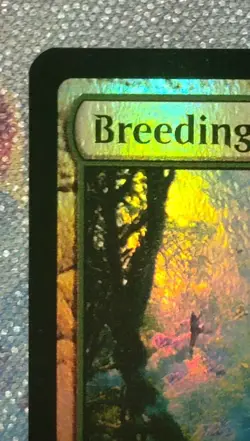 MTG Breeding Pool #0251 Foil Edge of Eternities Shock Land - Image 2