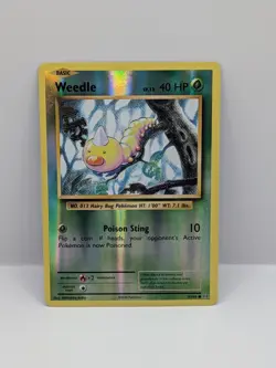 Weedle 5/108 Common Evolutions Pokemon Reverse Holo Near Mint - Image 1