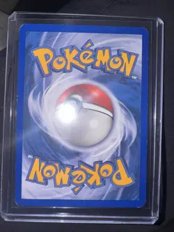 2002 LP Pokemon TCG Spinarak #62/147 E-Reader e-series Not Common! Aquapolis - Image 2
