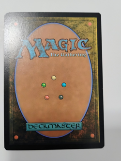 Wooded Foothills (Extended Art) NM MTG Modern Horizons 3 (MH3) (467) Authentic - Image 2
