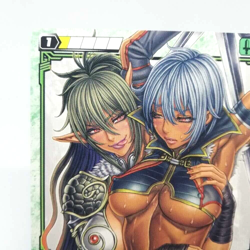 373 Echidna & Irma Teaching Queen's Blade The Duel Trading Card 2009 Japan Anime - Image 2